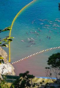 166733_160878044062434_5648886_n