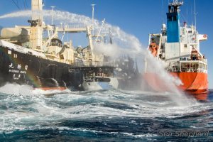 17625_10151461797893259_1849139061_n