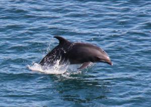 182344_142525549231017_318897623_n