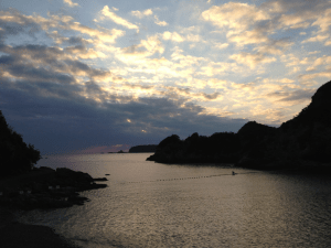 317279_130142627135976_1500224449_n