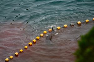 386012_142793759204196_265423982_n