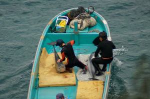 406168_153302194820019_1188127731_n