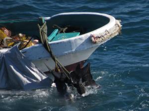 484721_154136091403296_97215824_n