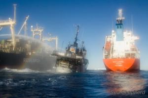 551481_10151461798148259_2046134714_n