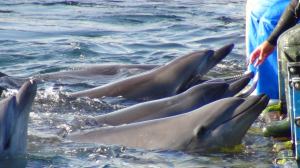 823452_4970593536598_307461750_o