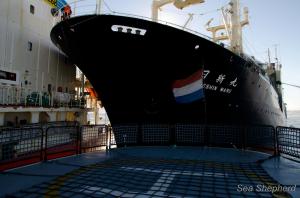 856106_10151451447648259_1128818205_o