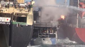 859489_10151462502998259_1744408383_o