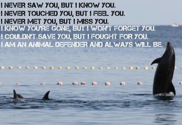 1876_10151779292794616_1726133112_n