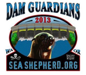 579451_315150071921033_756942383_n