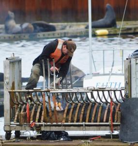 601099_539960852693793_1352651390_n