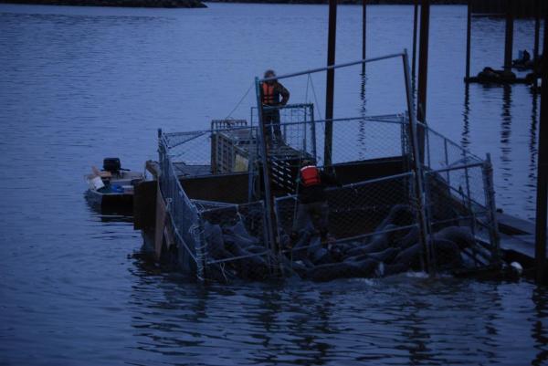 887251_540100109346534_579627846_o