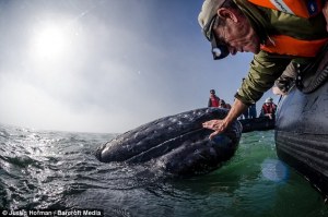 article-2300092-18F2B013000005DC-950_634x421