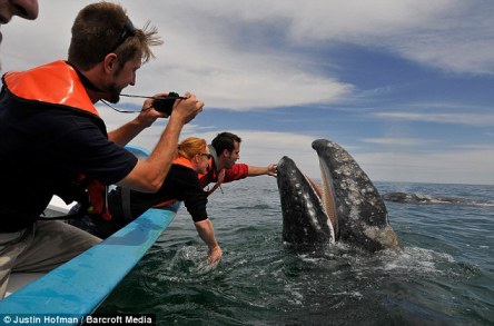 article-2300092-18F2B622000005DC-2_634x419