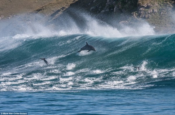 article-2339628-1A415066000005DC-909_964x636