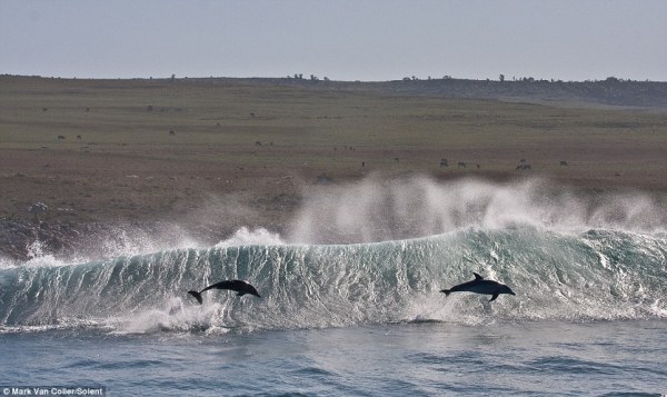 article-2339628-1A4150CF000005DC-31_964x575