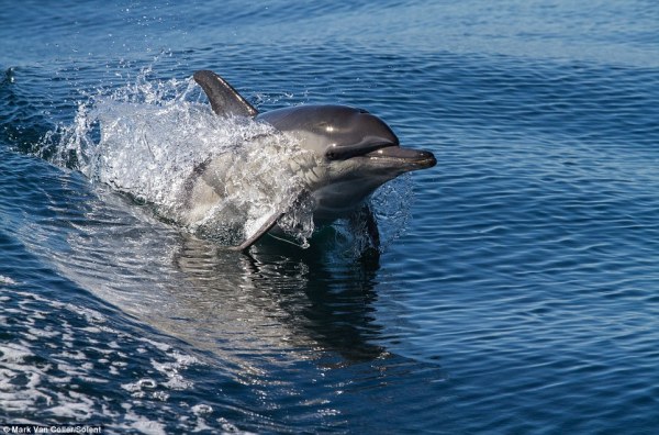 article-2339628-1A4150EC000005DC-839_964x637