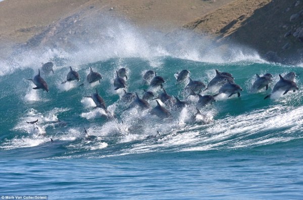 article-2339628-1A4151C6000005DC-476_964x637