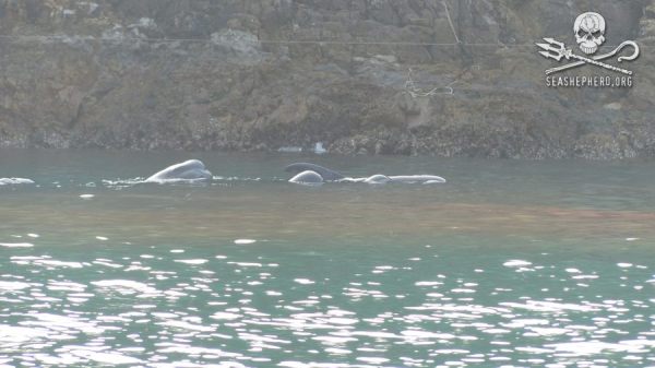 1020_237616056388632_941070235_n