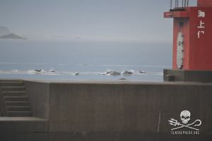 1175308_233796046770633_987055805_n