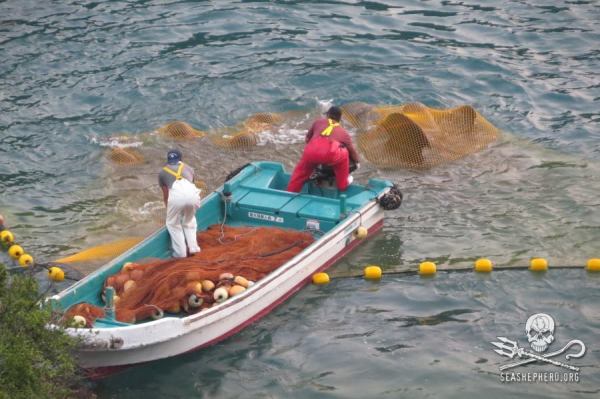 1175442_237615826388655_2059661251_n