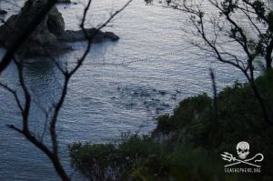 1231631_233796076770630_1262985003_n