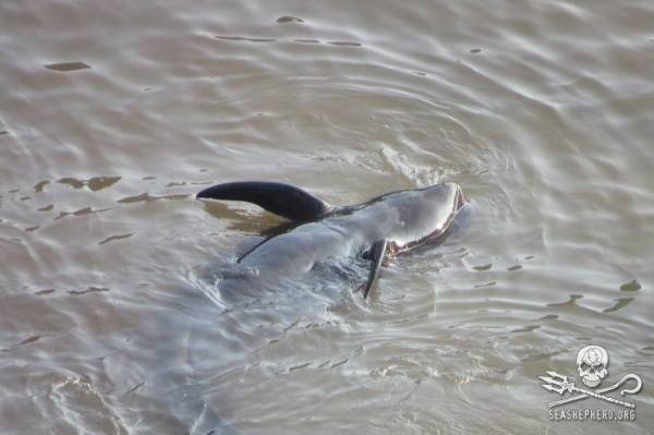 1234993_237615956388642_403829167_n