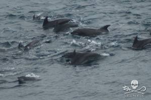 1239047_233370253479879_1266348940_n