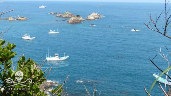 1280484_237616093055295_123424289_n