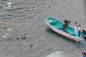 525750_233796146770623_1796941759_n