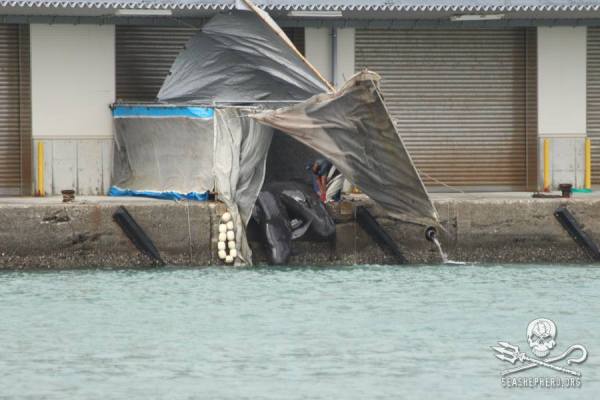 1374985_245018998981671_1160669962_n