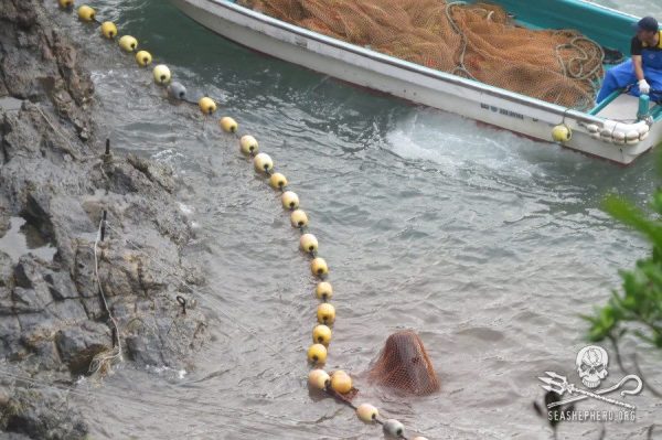 1384389_245018622315042_1296555446_n