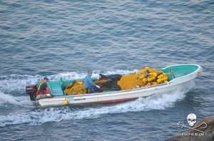 1394234_255258611291043_291983755_n