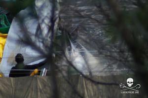 1395319_256365354513702_2037062219_n