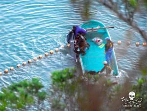 1454787_256365104513727_2055696263_n