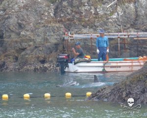 1455089_255259261290978_457941542_n