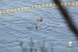 1459333_255259287957642_748864445_n