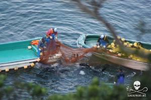 1467315_255259164624321_1799817986_n