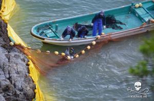 529213_256365234513714_2040844896_n