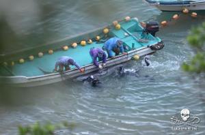 556861_256365284513709_489387154_n