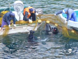 1463549_266422376841333_1171412648_n