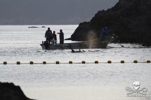 1470324_266422480174656_795659547_n