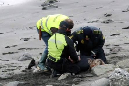 11742751_947104068646134_3444338266252408793_n (1)