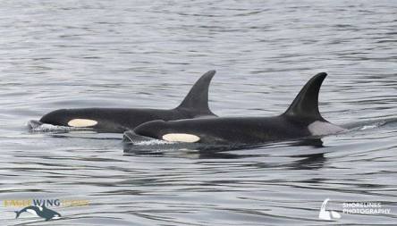 14080015_10153850980563730_3878555495632553519_n