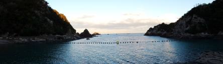 13988097_276079119441372_1982237210133871197_o