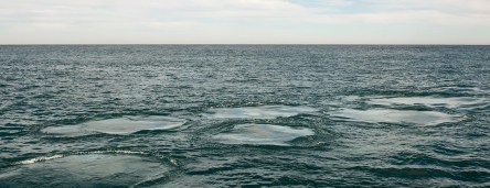 facebook-flukeprints