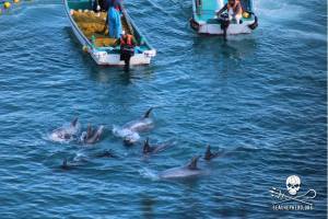 1472795_267952886688282_1151199916_n