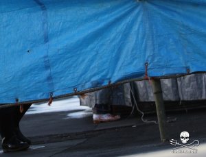 1483096_267952880021616_197741075_n