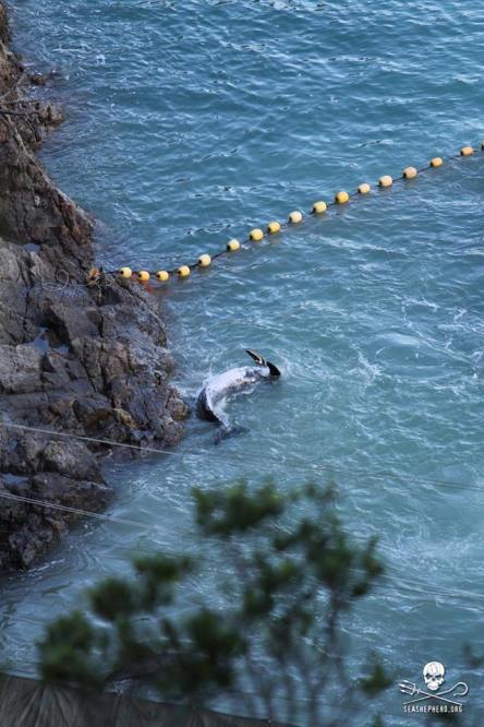 1488102_267952993354938_1801004160_n