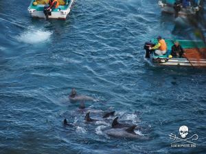 1509205_268537319963172_71699118_n