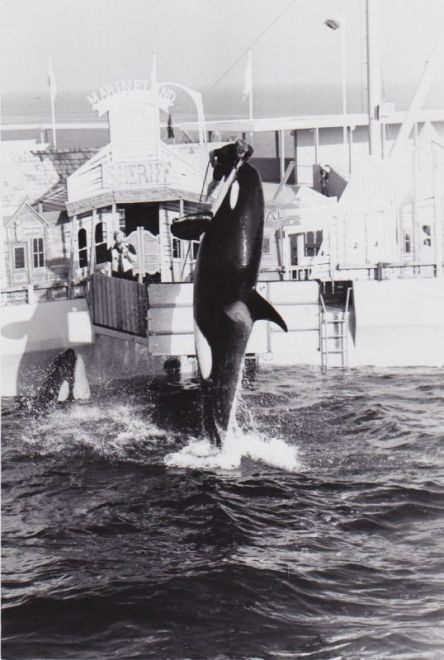 54927dfa3bfa38ccd8e6170fb5581780